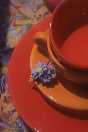 怪我を抑制して快適性を感じるインソール