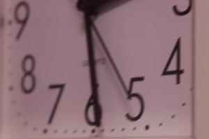 株式会社マルゼンのハチ駆除について