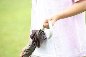 安い保険料だけど、しっかりと補償してくれる保険