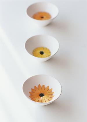 2026年最新版：ブランド買取の完全ガイド – 高価査定とスムーズな売却を実現するコツ