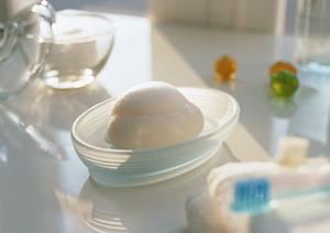 高性能な穴掘り機はここで購入しよう